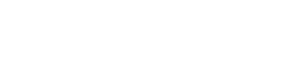 Логотип компании ЛионСистемс