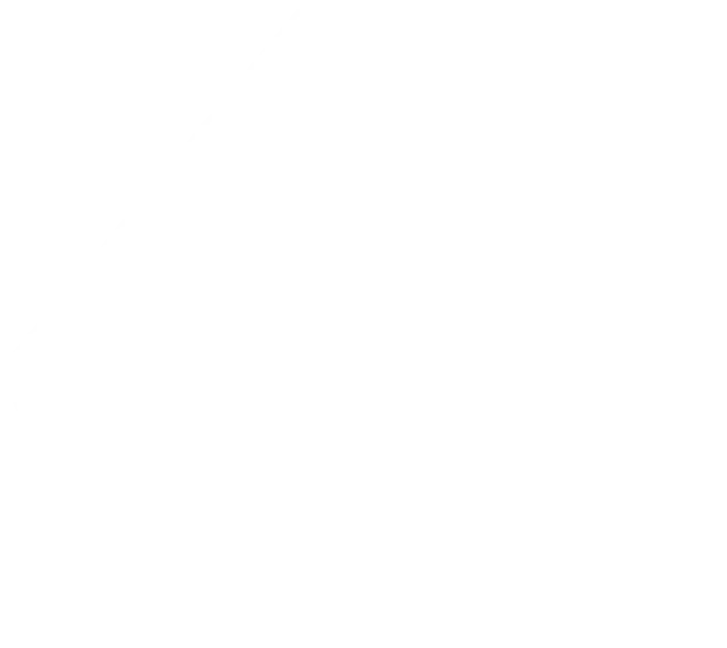 фрагмент логотипа лионсистемс